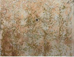 Photo Textures of Wall Plaster